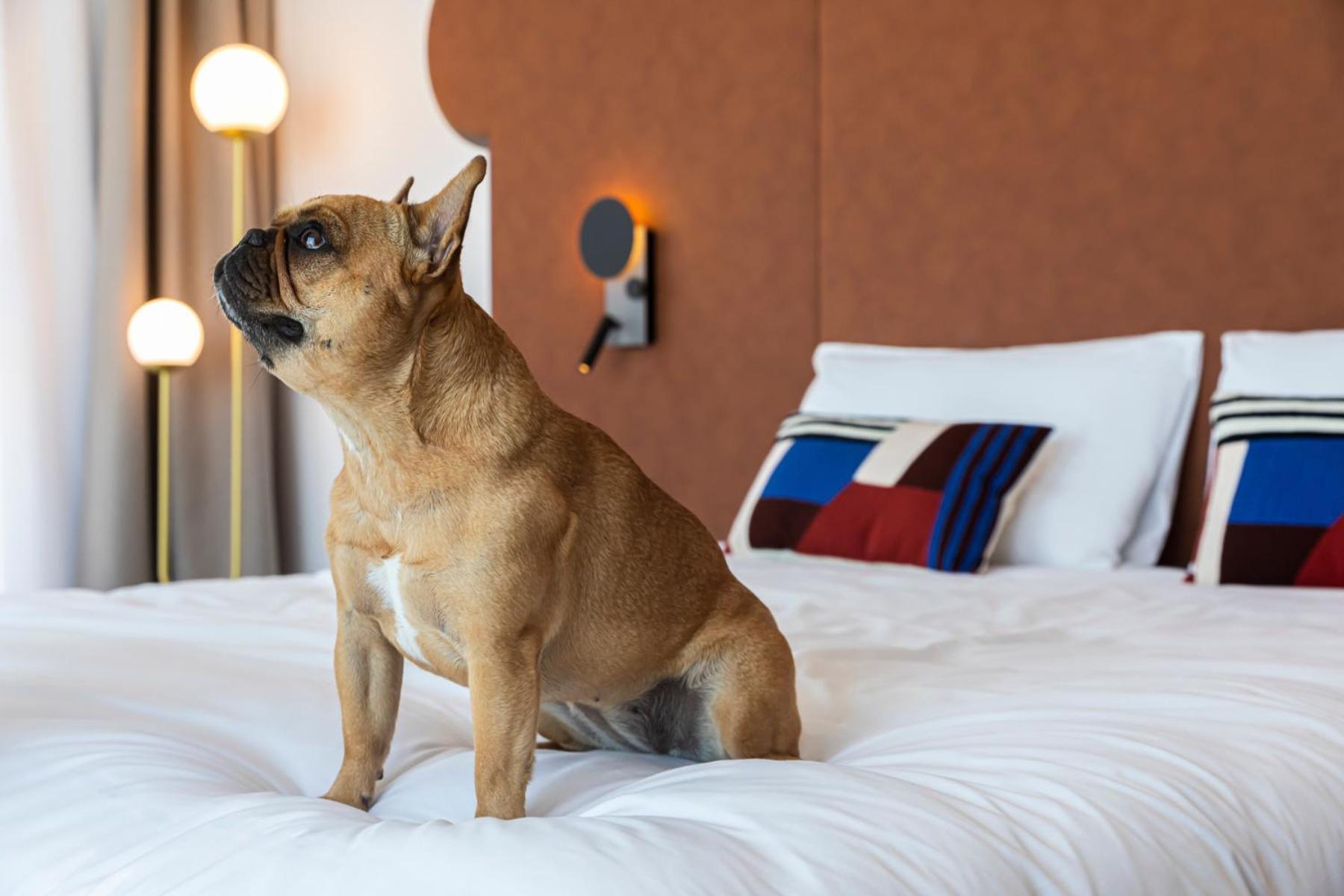 Mercure Dunkerque Centre Gare Dunkirk Екстериор снимка